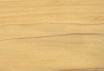 Legno di Toulipier