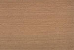 Legno di Faggio